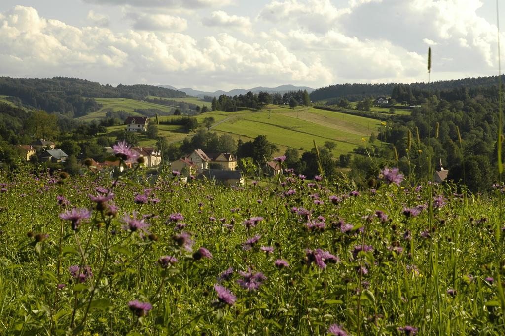 Bialy Wierch Bieszczady Daire Polańczyk Dış mekan fotoğraf