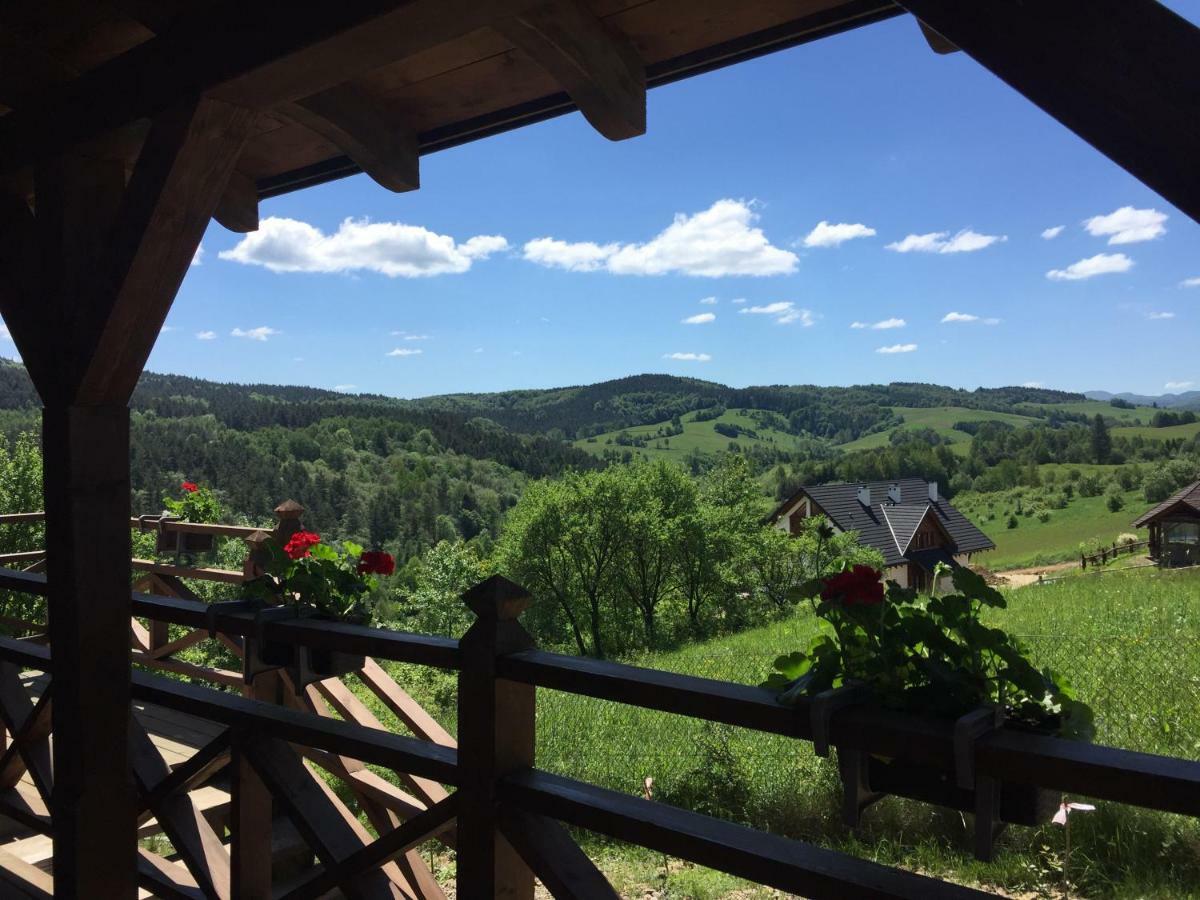 Bialy Wierch Bieszczady Daire Polańczyk Dış mekan fotoğraf